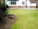 Lawns and Planting